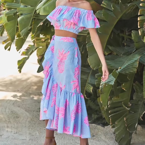 ISO: Lilly Pulitzer Larissa Set Size 6 - Picture 4 of 10